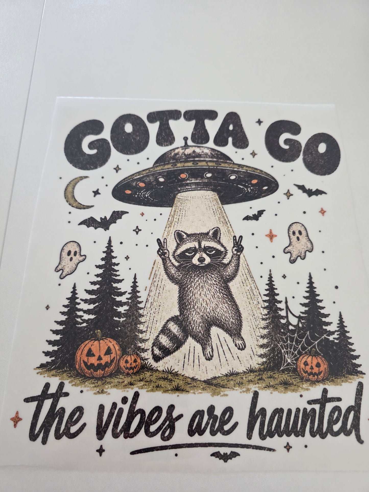 Raccoon Gotta Go 2 - Vibes Are Haunted