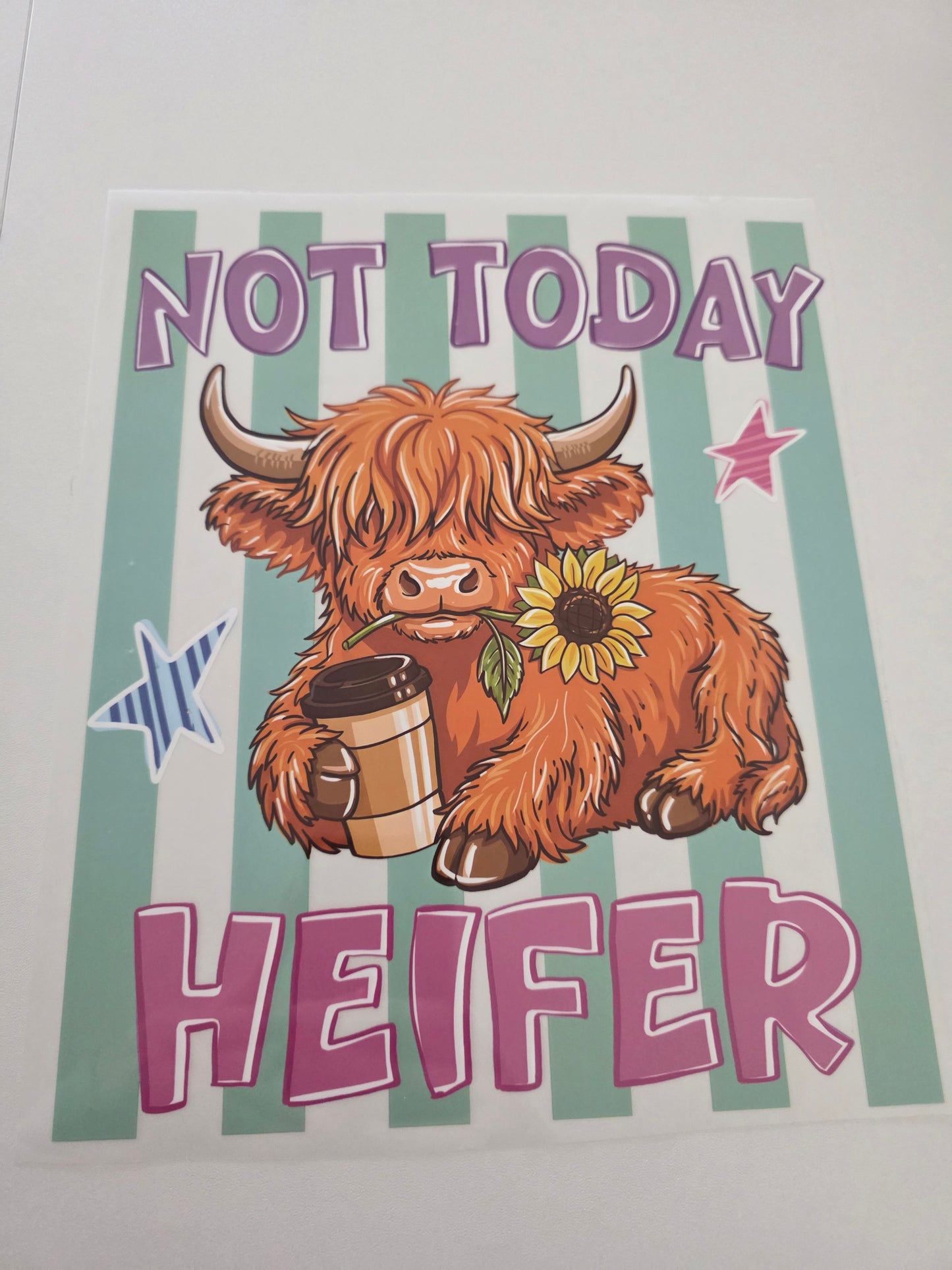 Not Today Cow