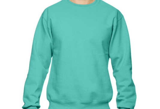 Jerzee's Crewneck - Cool Mint