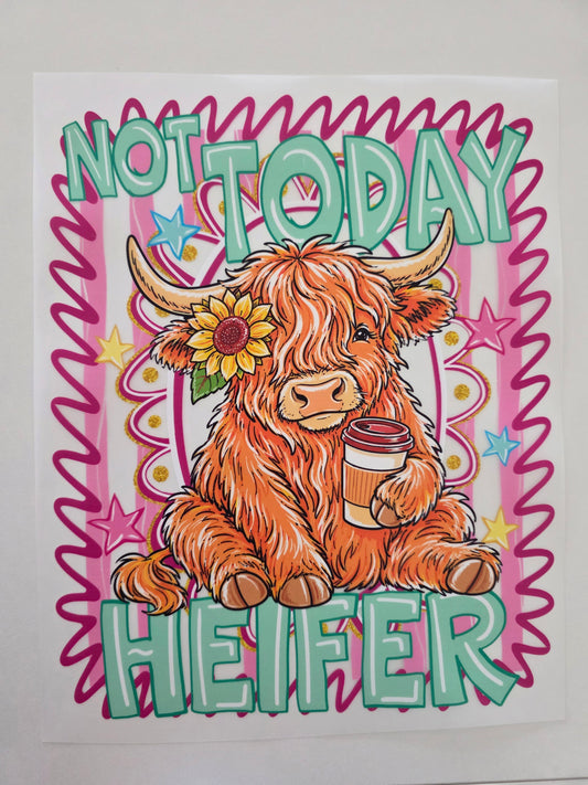 Not Today Heifer