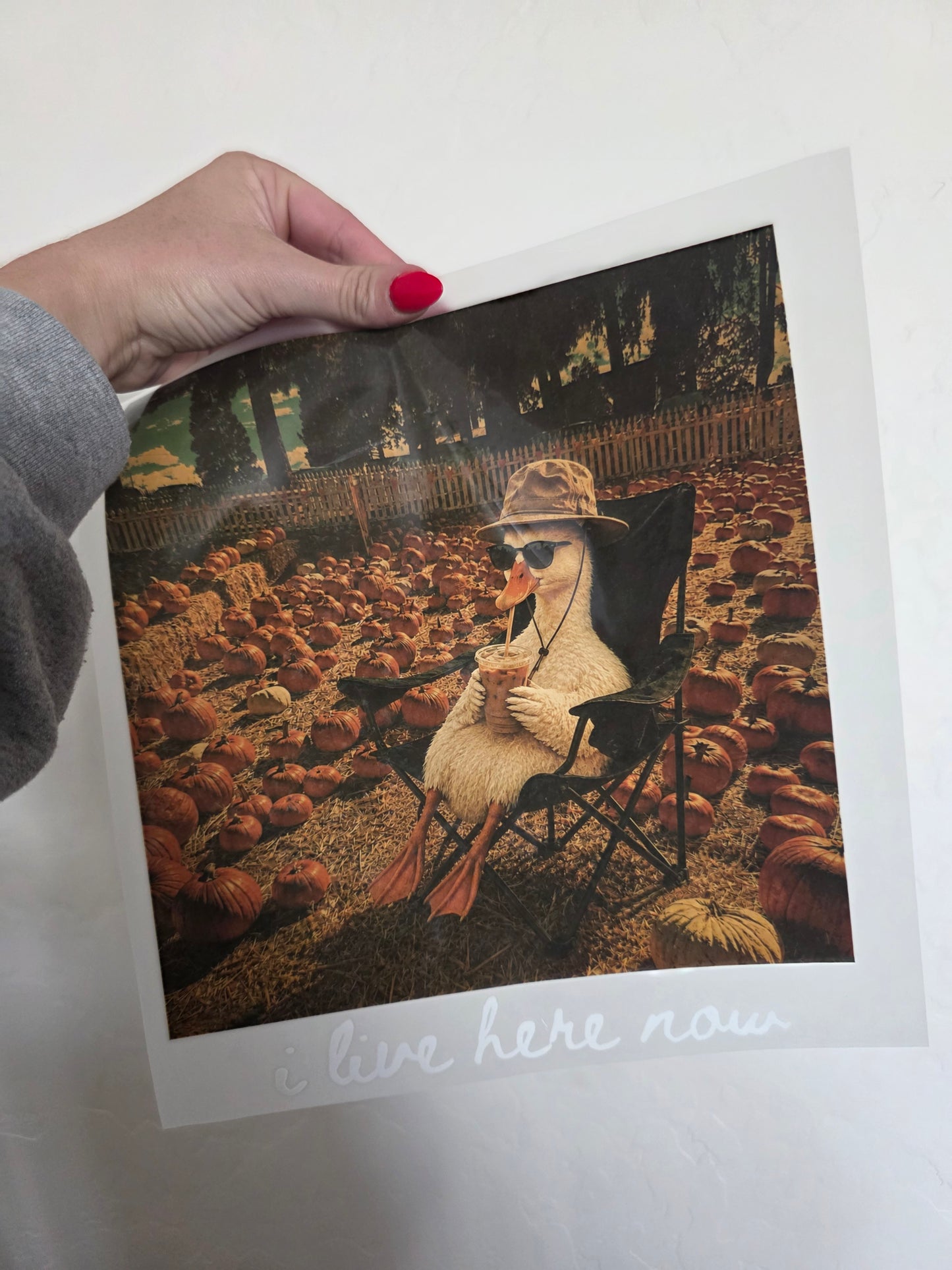 Fall Goose - I live here now