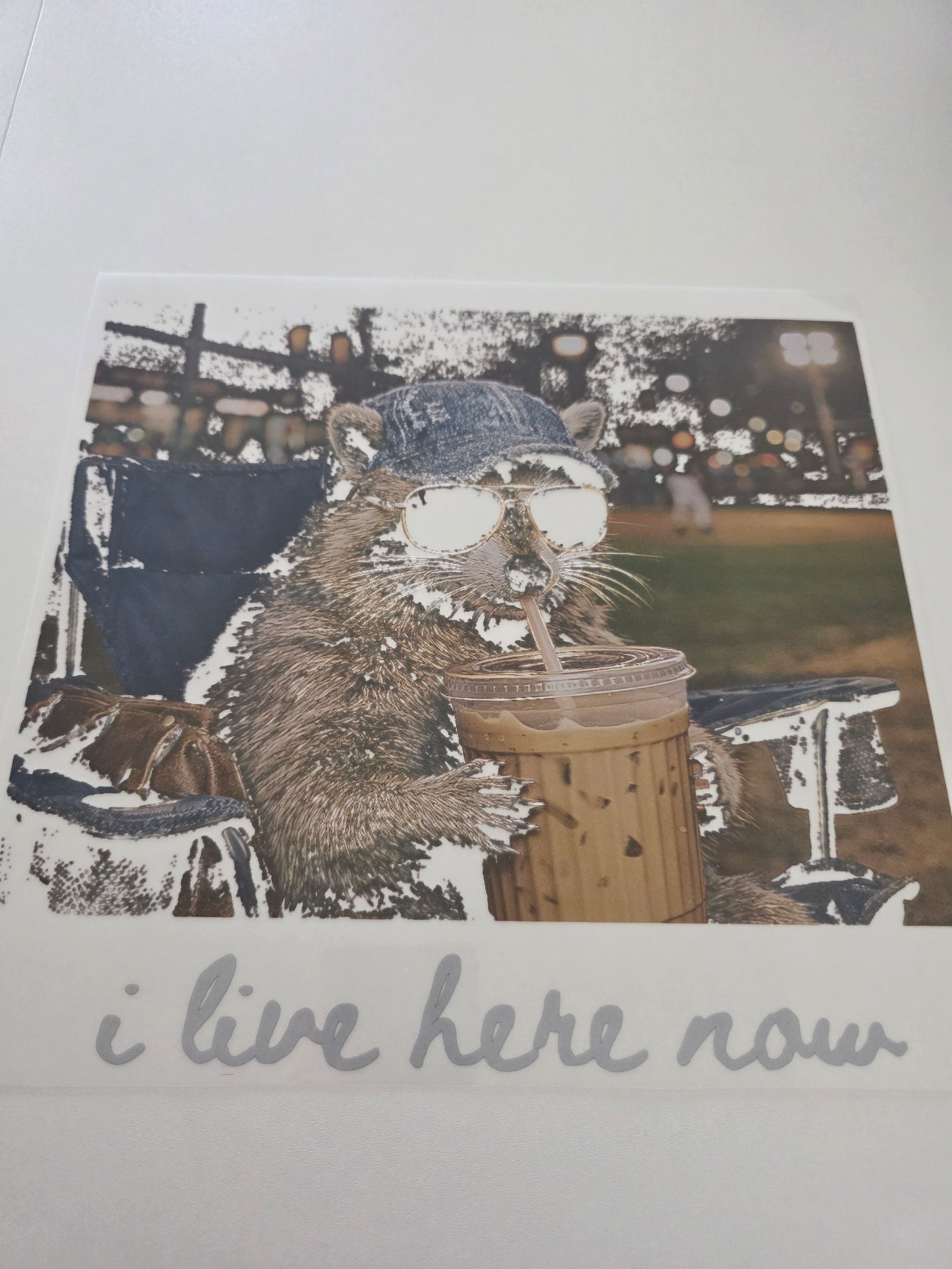 Vintage Baseball Raccoon - I Live Here Now