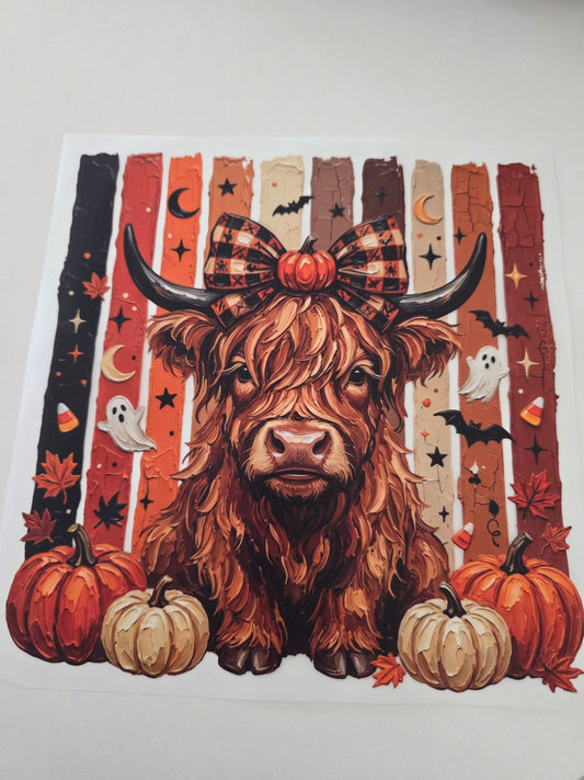 Fall Highland Cow