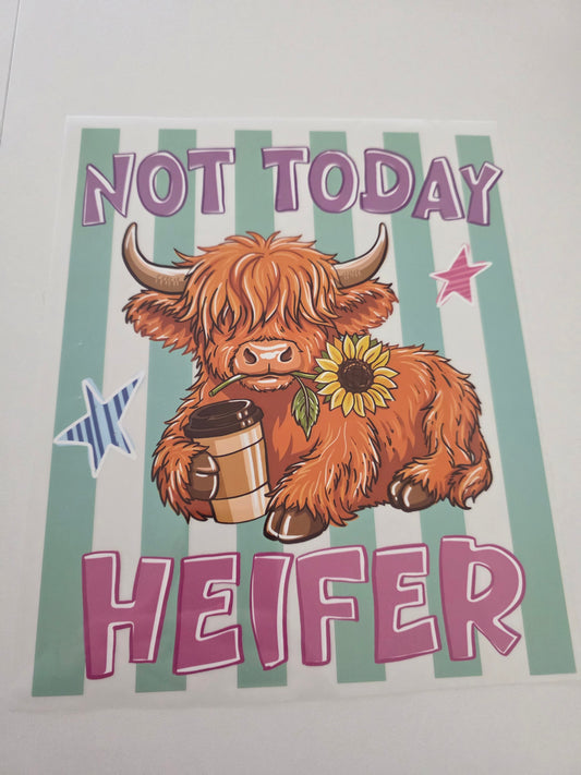 Not Today Cow