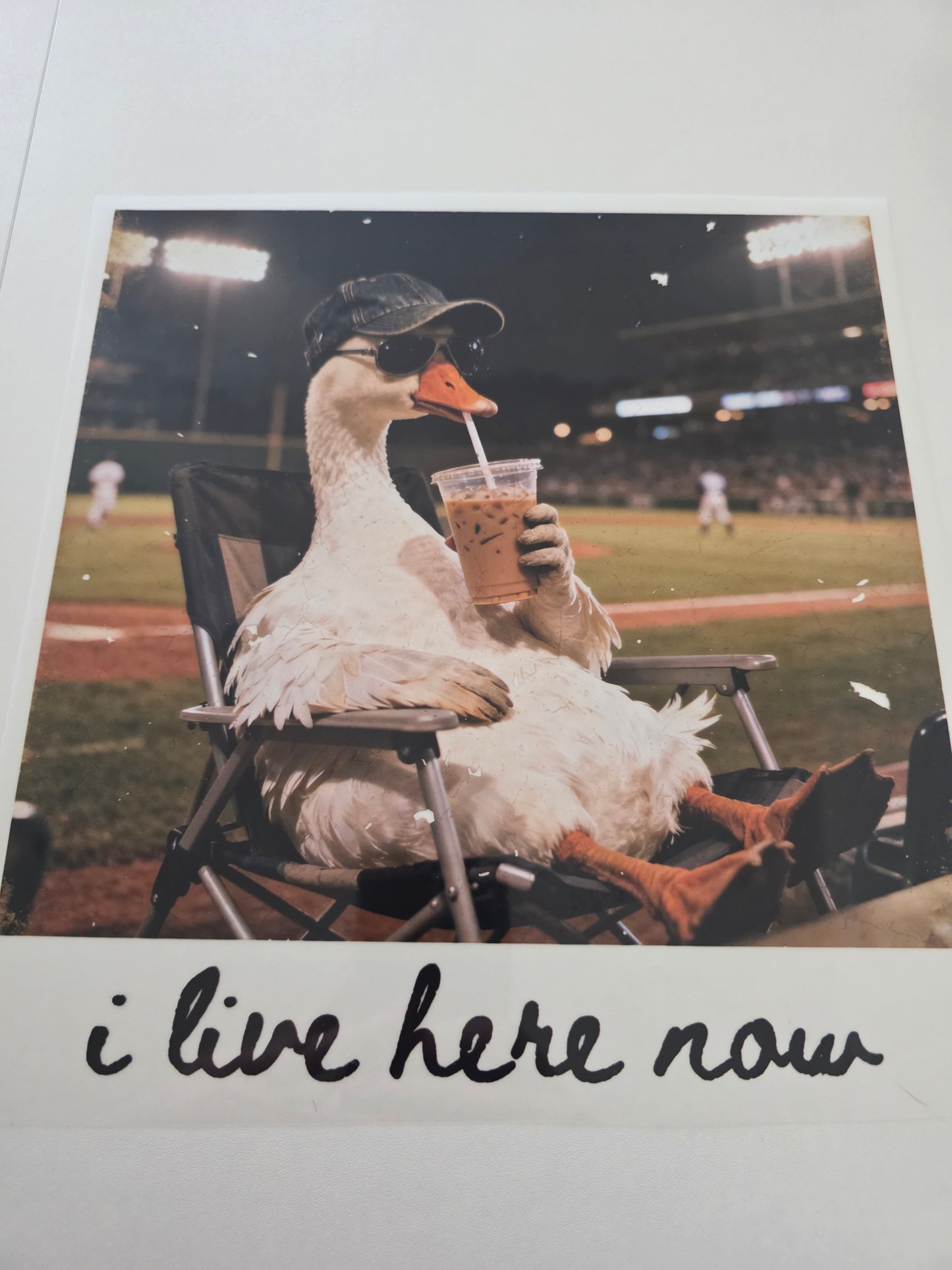 Baseball Goose - I Live Here Now