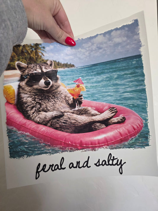 Raccoon - Feral & Salty