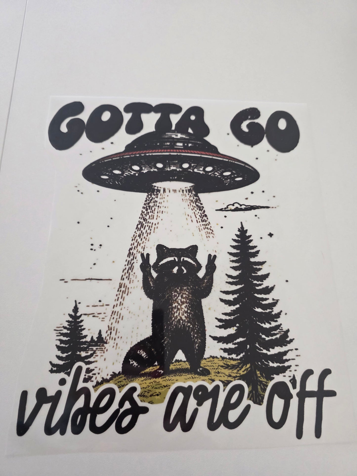 Raccoon Gotta Go - Vibes Are Off