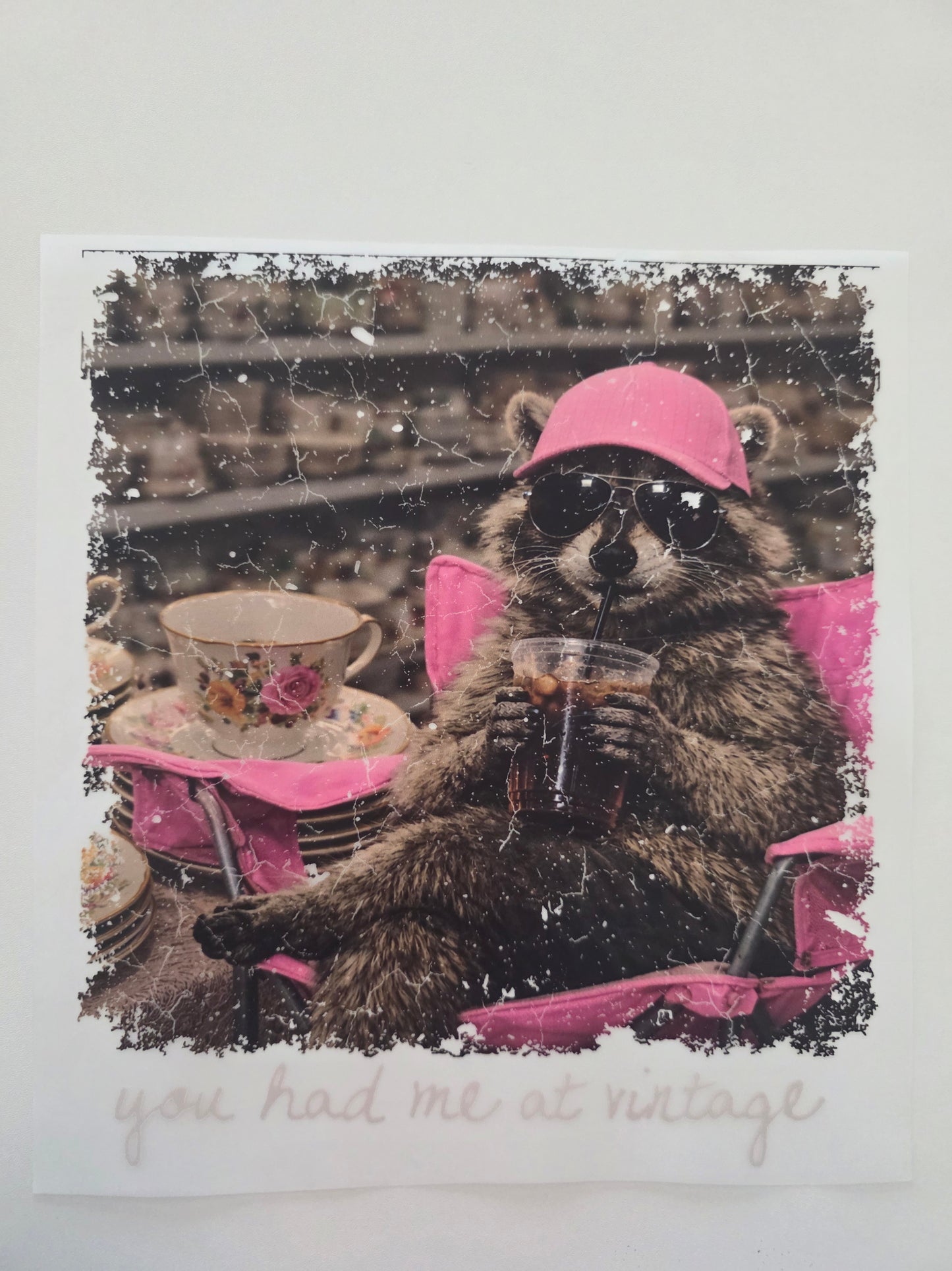 Vintage Raccoon