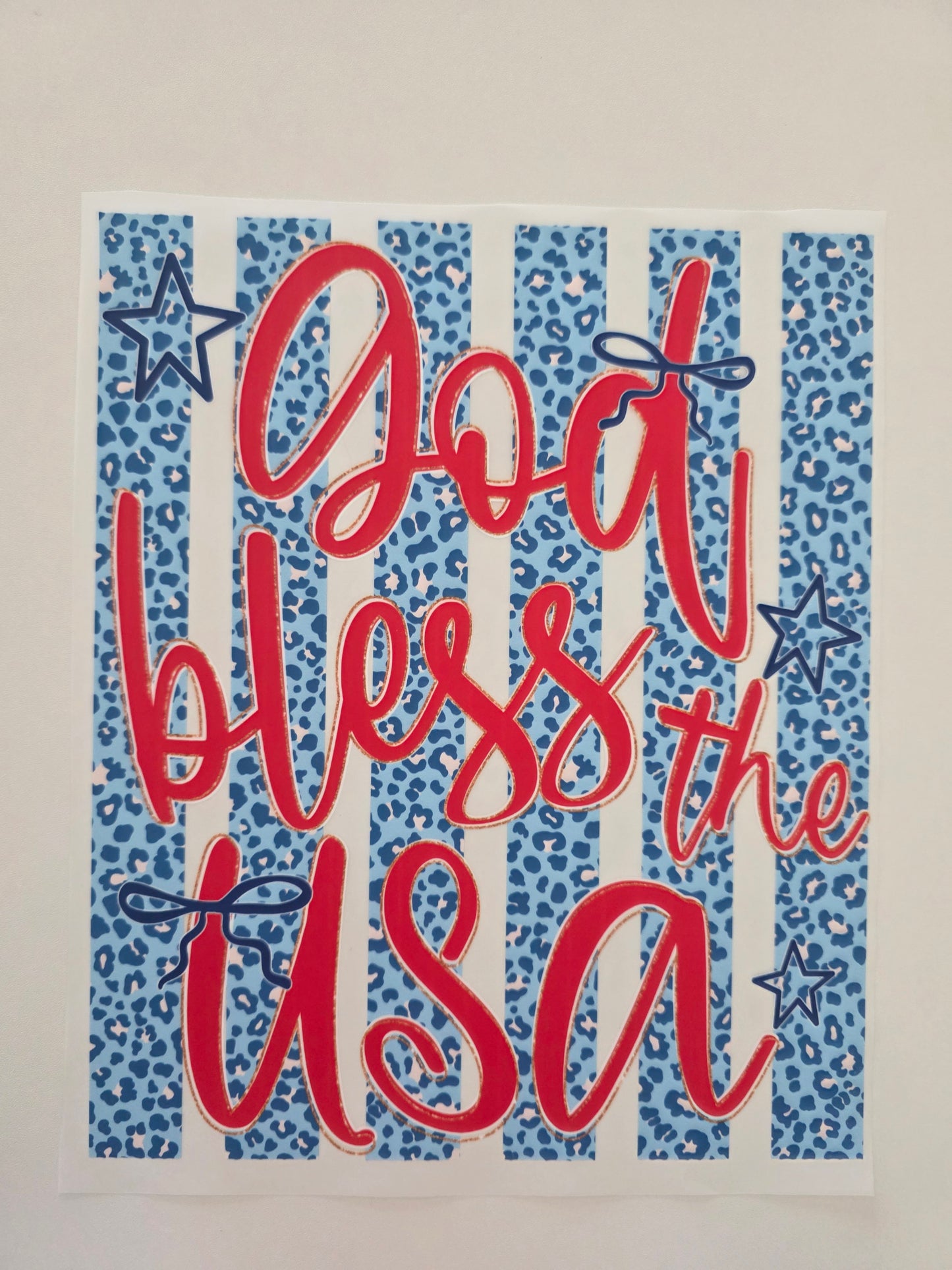 God Bless The USA